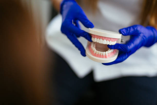 Best Crowns and Bridges  in Pingree Grove, IL